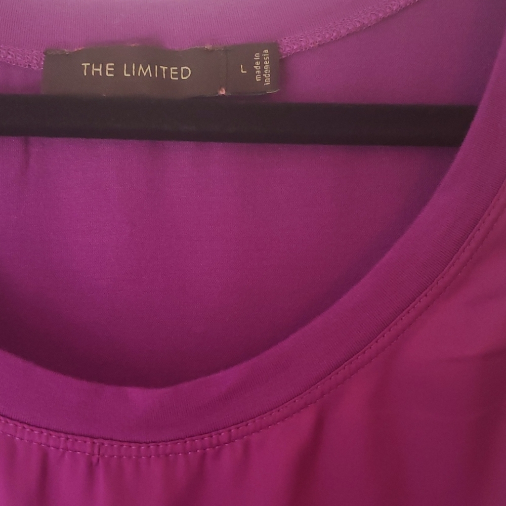 The Limited Top